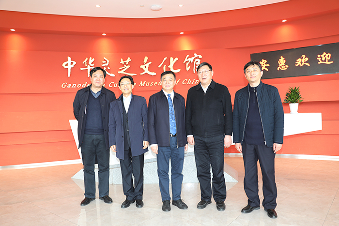 專題報(bào)道