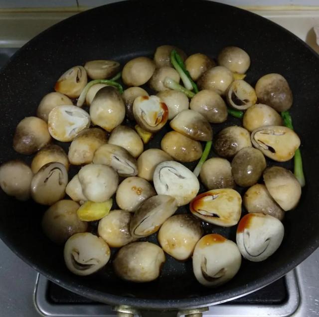 國家蘑菇地理：中國哪里的蘑菇最好吃？