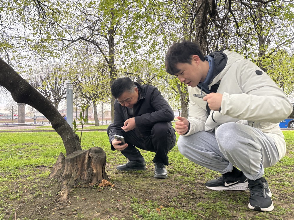 圖片關鍵詞