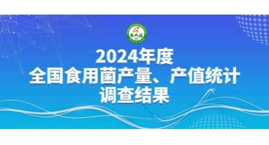 行業動態
